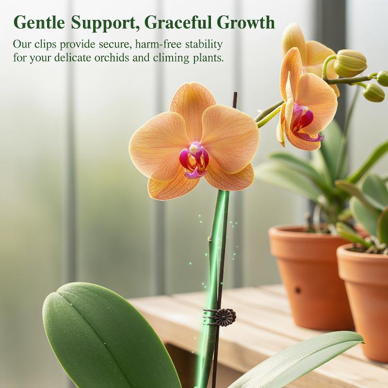 Home Security Adt - 50Pcs Plant Fixed Clip Butterfly Orchid