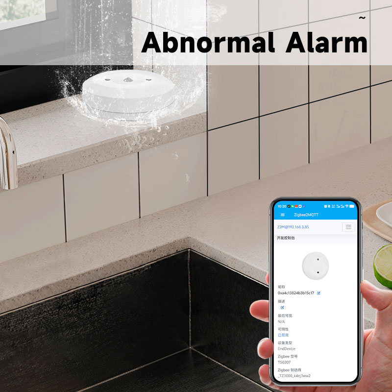 Smart ZigBee3.0 2MQTT Water Le - Home Security Home Assistant avaliação e preço