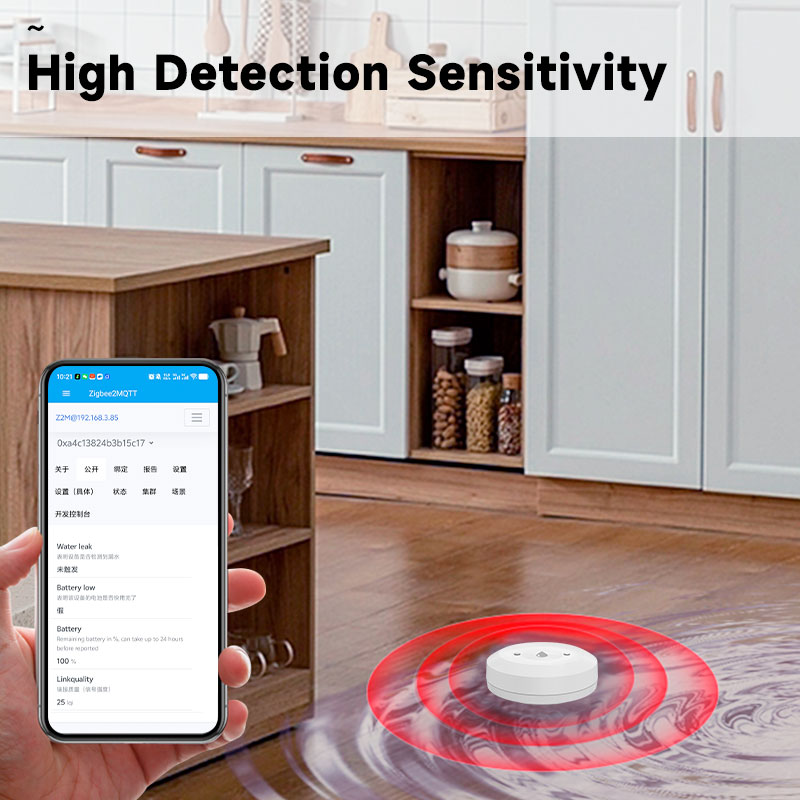 Smart ZigBee3.0 2MQTT Water Le - Home Security Home Assistant avaliação e preço