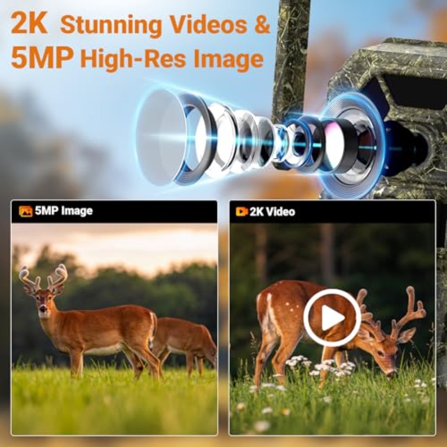 Wildlife monitoring and home s - Home Security Video avaliação e preço